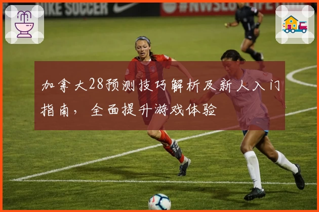 加拿大28预测技巧解析及新人入门指南，全面提升游戏体验