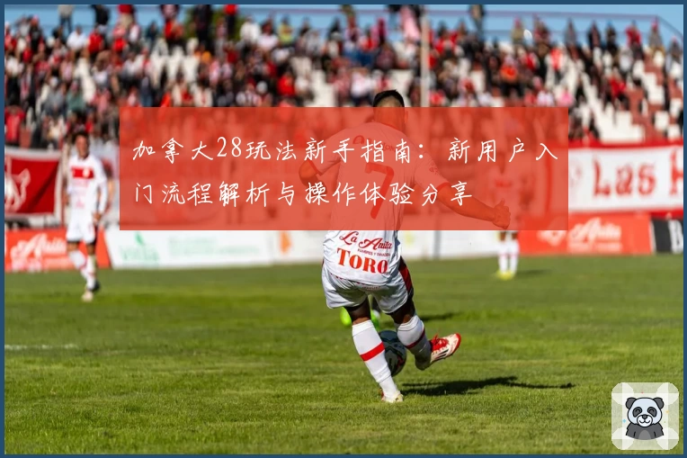 加拿大28玩法新手指南：新用户入门流程解析与操作体验分享