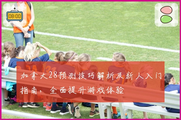 加拿大28预测技巧解析及新人入门指南，全面提升游戏体验