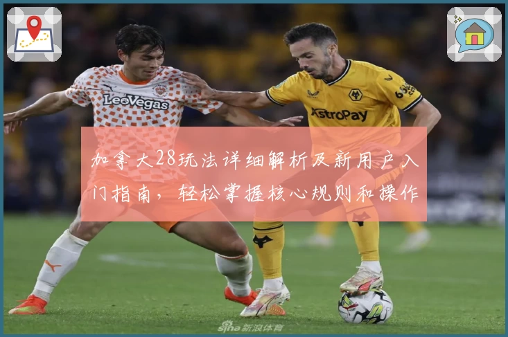 加拿大28玩法详细解析及新用户入门指南，轻松掌握核心规则和操作技巧