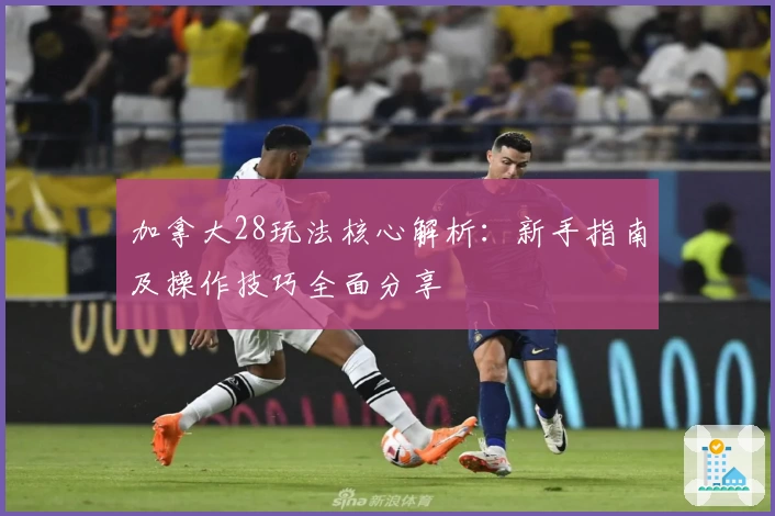 加拿大28玩法核心解析：新手指南及操作技巧全面分享