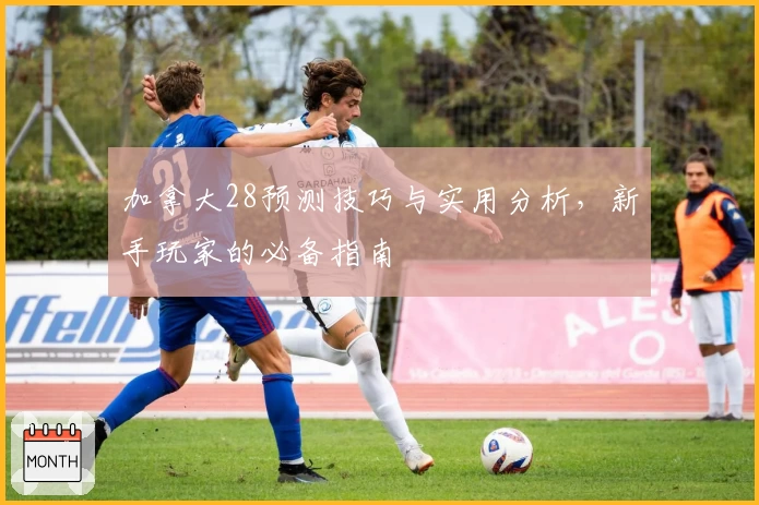 加拿大28预测技巧与实用分析，新手玩家的必备指南