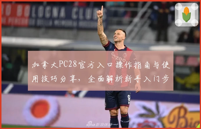加拿大PC28官方入口操作指南与使用技巧分享，全面解析新手入门步骤及平台核心功能亮点