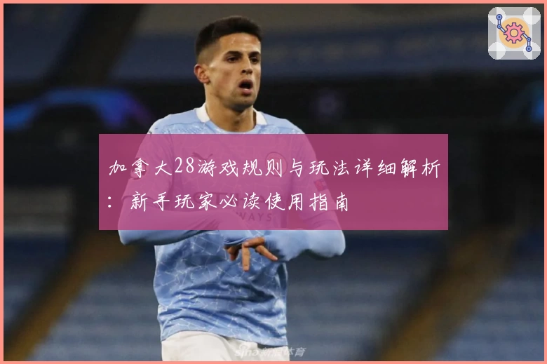 加拿大28游戏规则与玩法详细解析：新手玩家必读使用指南