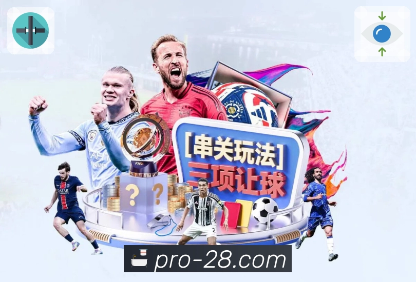 官方加拿大28APP,服务标准始终如一
